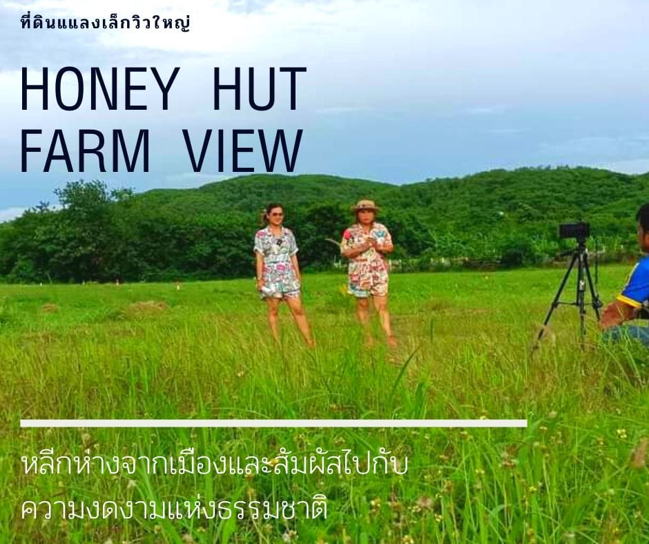 โครงการ